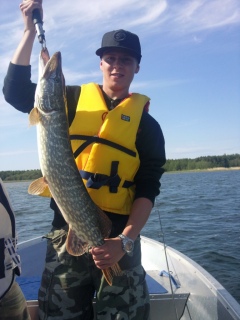Hauki 5,50 kg