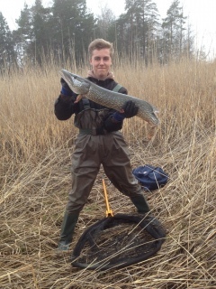 Hauki 4,98 kg