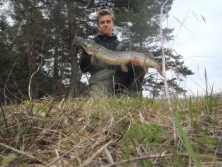 Hauki 4,76 kg