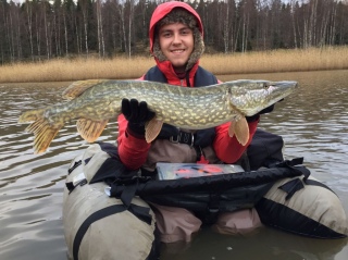 Hauki 7,00 kg