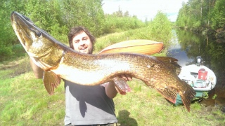 Hauki 11,00 kg
