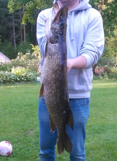 Hauki 5,10 kg