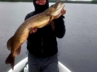 Hauki 6,94 kg