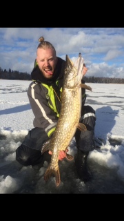 Hauki 7,30 kg