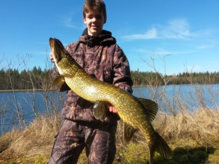 Hauki 7,40 kg