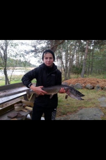 Hauki 4,00 kg