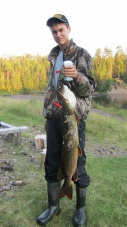 Hauki 5,00 kg