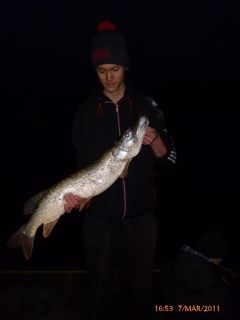 Hauki 3,95 kg