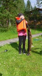 Hauki 4,00 kg