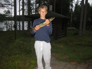 Hauki 1,56 kg
