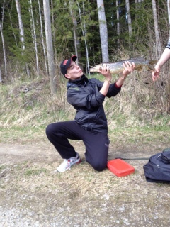 Hauki 2,30 kg