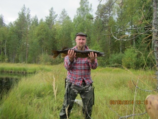 Hauki 2,80 kg