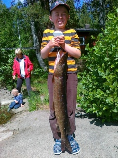 Hauki 4,10 kg