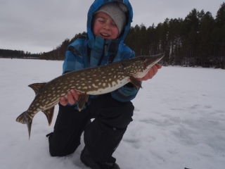 Hauki 3,10 kg