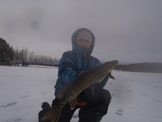 Hauki 4,10 kg