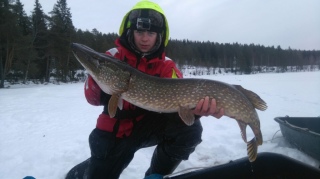 Hauki 9,10 kg