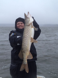 Hauki 6,10 kg