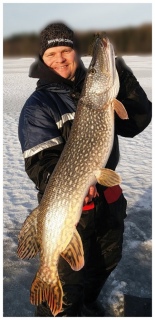 Hauki 7,10 kg