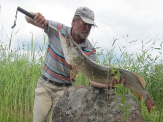 Hauki 7,30 kg