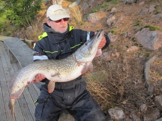 Hauki 10,30 kg