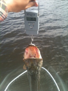 Hauki 3,57 kg