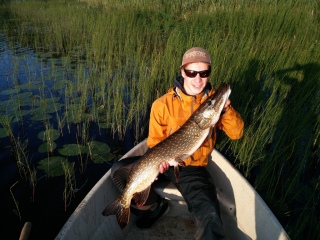 Hauki 7,46 kg