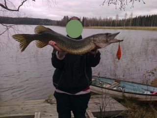 Hauki 7,40 kg
