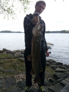 Hauki 10,20 kg