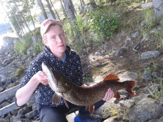 Hauki 7,20 kg