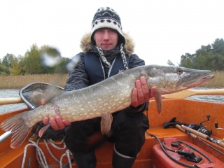 Hauki 3,76 kg