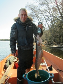 Hauki 3,48 kg