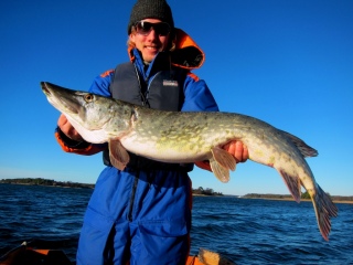 Hauki 4,60 kg