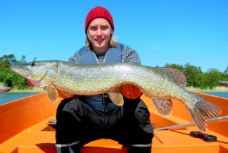 Hauki 5,54 kg