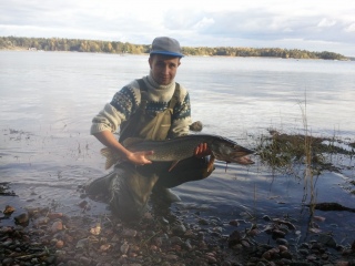 Hauki 5,00 kg
