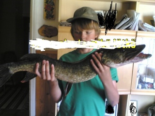Hauki 2,60 kg