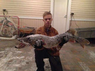 Hauki 9,37 kg