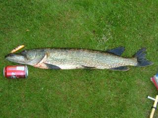 Hauki 3,15 kg
