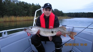 Hauki 4,99 kg