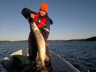Hauki 7,30 kg