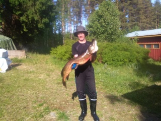 Hauki 10,00 kg