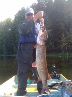 Hauki 10,40 kg