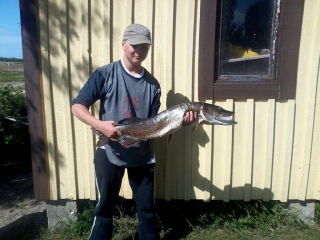 Hauki 5,17 kg