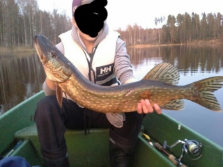 Hauki 3,20 kg