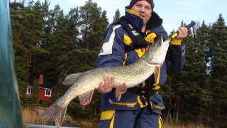 Hauki 7,40 kg