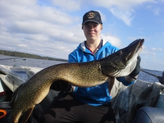 Hauki 10,01 kg