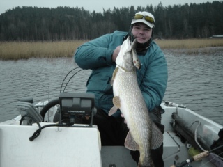 Hauki 7,90 kg