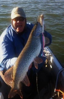 Hauki 7,10 kg