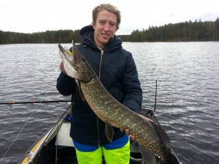 Hauki 4,88 kg