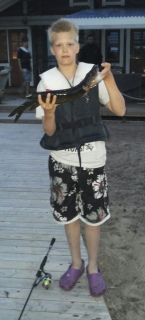 Hauki 1,30 kg