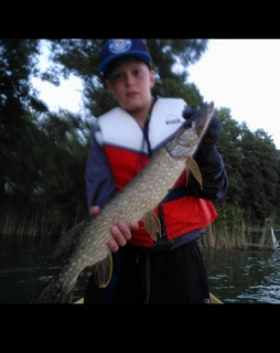 Hauki 3,00 kg